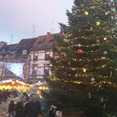 Meubles Du 25 N2 F2 Rdc Niederbronn-les-Bains