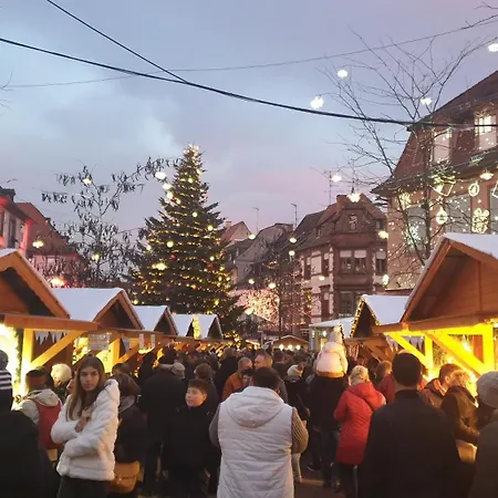 Meubles Du 25 N2 F2 Rdc Niederbronn-les-Bains