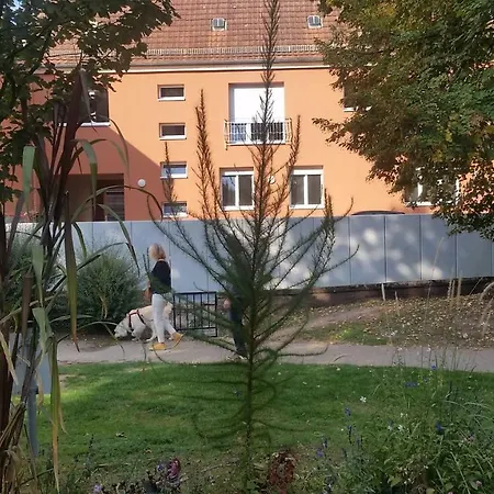 Meubles Du 25 N2 F2 Rdc Niederbronn-les-Bains