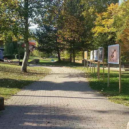 Διαμέρισμα Meubles Du 25 N2 F2 Rdc Niederbronn-les-Bains